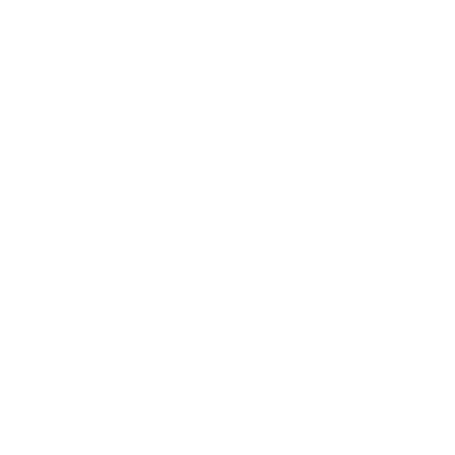 Flyaux